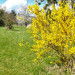 La Galochelle Montrichard