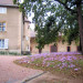 Gite Gite Ch&acirc;teau de La Chambre