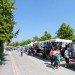 march&eacute; &agrave; Jargeau