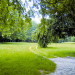 Le parc au printemps