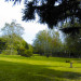 Le jardin