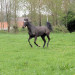 Gite Le Catelet