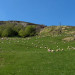 Gite Gites Berretechia