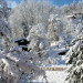 Gite G&icirc;tes La Grange aux M&eacute;sanges