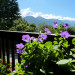  Vacances au Pays du Mont Blanc