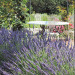 Gite Gites Une Campagne en Provence