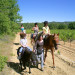 Gite Gites Une Campagne en Provence
