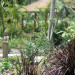  La Plantation Resort Golf & Spa