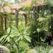  La Plantation Resort Golf & Spa
