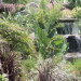  La Plantation Resort Golf & Spa