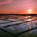 Marais salants - Saill&eacute; - &copy; Franck Iren & Christine Pinheira