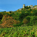 Ch&acirc;teau de Tourno&euml;l