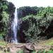 Chutes du Carbet