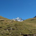 Parc des &Eacute;crins