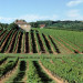 Monbazillac P&eacute;rigord - &copy; Franck Iren & Christine Pinheira