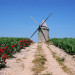 Vignes du M&eacute;doc - Gironde - &copy; Franck Iren & Christine Pinheira