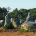 Alignement de menhirs - Carnac - &copy; Franck Iren & Christine Pinheira