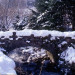 G&eacute;rardmer - &copy; Office de Tourisme Gerardmer