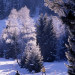 G&eacute;rardmer - &copy; Office de Tourisme Gerardmer