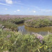 Lilas de mer - Baie de Somme - &copy; Guy Fran&ccedil;ois