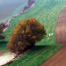 Littoral picard - Somme - &copy; Guy Fran&ccedil;ois