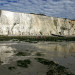Littoral picard - Somme - &copy; Guy Fran&ccedil;ois