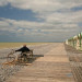 Littoral picard - Somme - &copy; Guy Fran&ccedil;ois