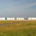 Littoral picard - Somme - &copy; Guy Fran&ccedil;ois