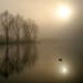La Somme dans le brouillard - &copy; Guy Fran&ccedil;ois