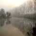 La Somme dans le brouillard - &copy; Guy Fran&ccedil;ois