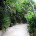Jardin exotique - &copy; Marie-Jose Launay