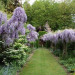 Jardin floral - &copy; Jardin floral de Digeon