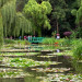 Les jardins de Claude Monet - &copy; Patrick RAULT