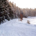 Chemin p&eacute;destre en hiver - La Chaise-Dieu - &copy; OT La Chaise Dieu