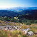 Paysage du Pilat - &copy; CDT 42 - G. Lebois