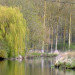 Marais des Moines - &copy; BEAUCHAMP Xavier