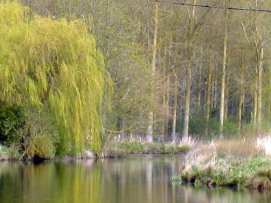 Marais des Moines - © BEAUCHAMP Xavier Marais des Moines - © BEAUCHAMP Xavier