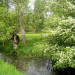 Marais Poitevin - &copy; ARJAUR&Eacute; Guy