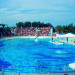 Marineland