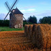 Moulin de Kercousquet - &copy; Anne et Thierry LYMES