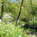 Moulin &agrave; eau de Drils - &copy; THEYSSENS Jo et PEETERS Els