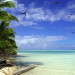 Oiseaux survolant le Pacifique - &copy; Rafcha - Fotolia.com