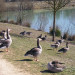 Parc de La L&egrave;re - &copy; G&eacute;rard HORTAL