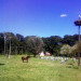 Parc Eiblen - &copy; KLINK Patricia