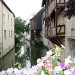 La petite Venise de Montargis - &copy; MENIS Germaine