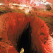 Grotte de la Luire