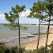Plage de La Grande Conche - &copy; BEAUVAIS Jean-Christophe