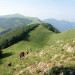Plateau d'Ambel - &copy; FRIGI&Egrave;RE Isabelle