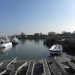 Port de Honfleur - &copy; M&eacute;lanie GACHON