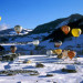 Praz sur Arly - &copy; OT Praz sur Arly / Jean Bouchayer